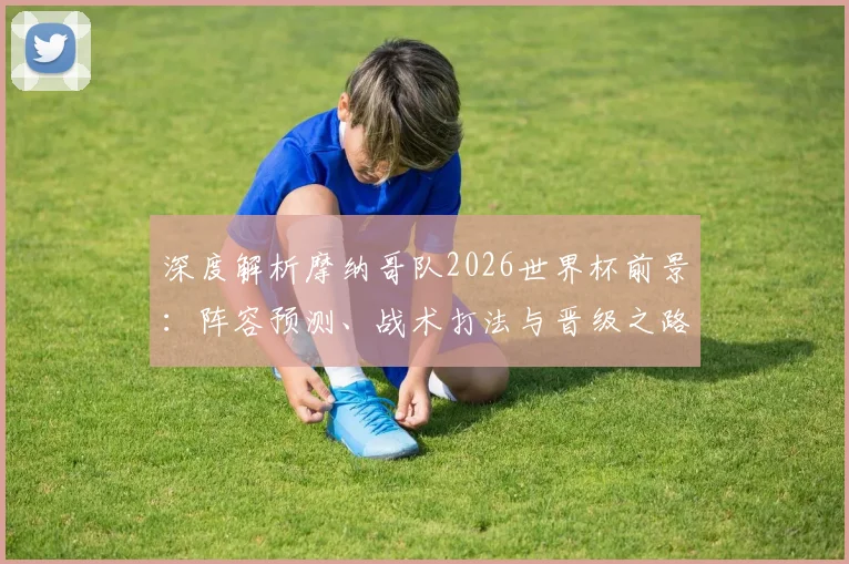 深度解析摩纳哥队2026世界杯前景：阵容预测、战术打法与晋级之路